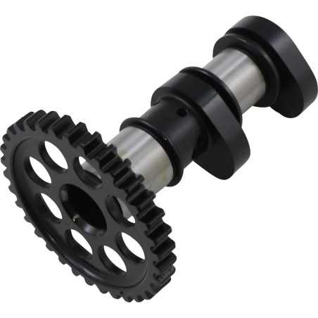 Camshaft Intake Stage 1