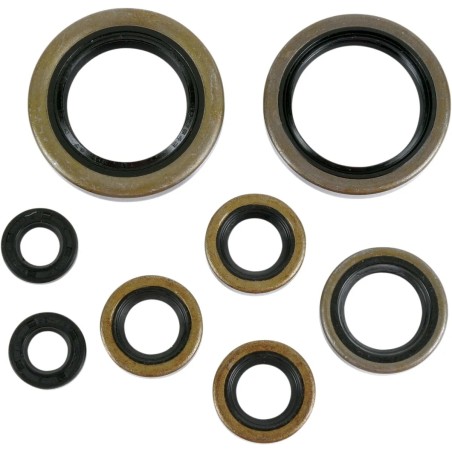 Motor Oil Seals