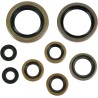 Motor Oil Seals