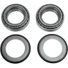 Steering Stem Bearing Kit