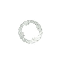 Flame Series Rotor Rear