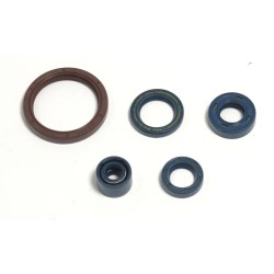 Engine Oil Seal