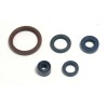 Engine Oil Seal