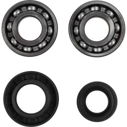 Crankshaft Bearing and Seal Kit
