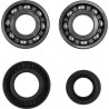 Crankshaft Bearing and Seal Kit