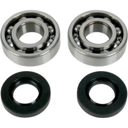 Crankshaft Bearing and Seal Kit