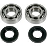Crankshaft Bearing and Seal Kit