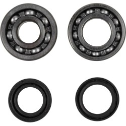 Crankshaft Bearing and Seal Kit