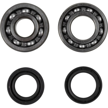 Crankshaft Bearing and Seal Kit