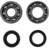 Crankshaft Bearing and Seal Kit
