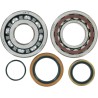 Crankshaft Bearing and Seal Kit