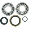 Crankshaft Bearing and Seal Kit