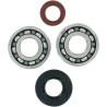 Crankshaft Bearing and Seal Kit