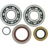 Crankshaft Bearing and Seal Kit