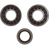 Crankshaft Bearing and Seal Kit