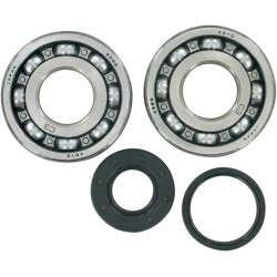 Crankshaft Bearing and Seal Kit
