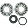Crankshaft Bearing and Seal Kit