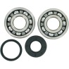 Crankshaft Bearing and Seal Kit