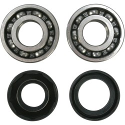 Crankshaft Bearing and Seal Kit