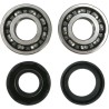 Crankshaft Bearing and Seal Kit