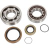Crankshaft Bearing and Seal Kit