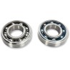Main Crankshaft Bearing and Seal Kit