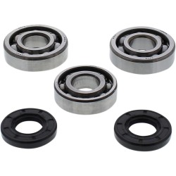 Crankshaft Bearing and Seal Kit