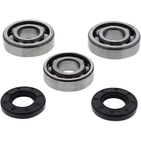 Crankshaft Bearing and Seal Kit