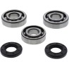Crankshaft Bearing and Seal Kit