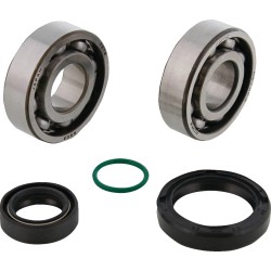Crankshaft Bearing and Seal Kit