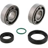 Crankshaft Bearing and Seal Kit