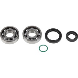 Crankshaft Bearing and Seal Kit