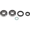 Crankshaft Bearing and Seal Kit