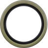Main Drive Gear Seal Kit