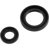 Crankshaft Oil Seal Kit