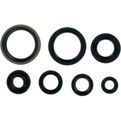 Motor Oil Seals
