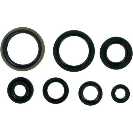 Motor Oil Seals