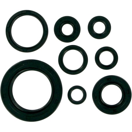 Motor Oil Seals