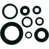 Motor Oil Seals