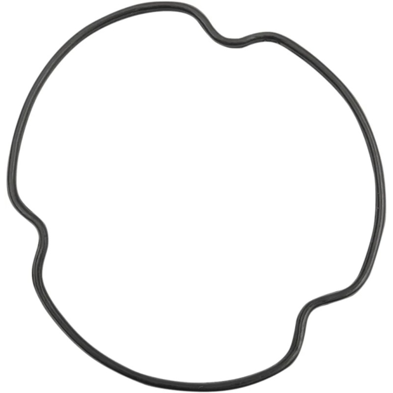 Oil Filter Cover O-Ring