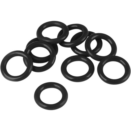 Oil Pump O-Ring