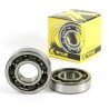 Crankshaft Bearing   Seal Kit