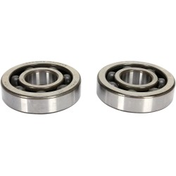 Crankshaft Bearing and Seal Kit