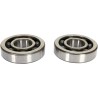 Crankshaft Bearing and Seal Kit