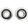 Crankshaft Bearing and Seal Kit