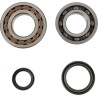 Crankshaft Bearing and Seal Kit