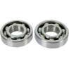 Main Crankshaft Bearing and Seal Kit