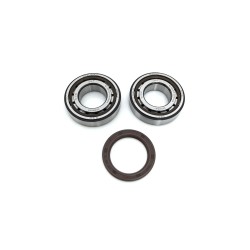 Crankshaft Bearing   Seal Kit