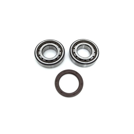 Crankshaft Bearing   Seal Kit
