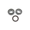 Crankshaft Bearing   Seal Kit